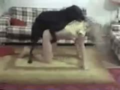 Skinny had never before seen a youngster of legal age who was completely nude and being beaten by a large dog pecker.